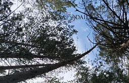 ���� ������ ������� ��������� � �������