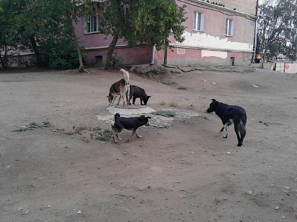 ��������� ����� ������� ������� ��� ���, � ������������ ������� ������� �����