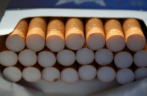 � ������ ����� ������ ����������� ���� �� ��������