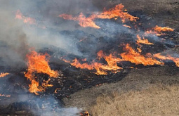 � ������� ��-�� ���������� ������� ������ ������ ����� �������������� 