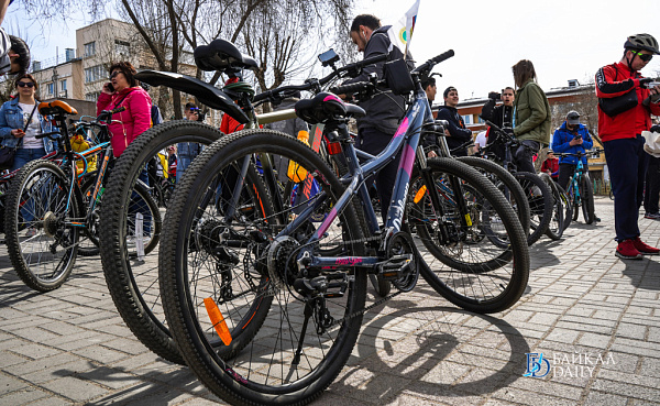 � ������� ����������� ���� �������������