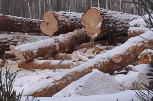 � ������� ������� ��������� ���������� �������� �� 1,3 ��� ������