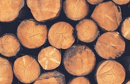 � ������� ������� ������� �� �������� ��� �� ����� 