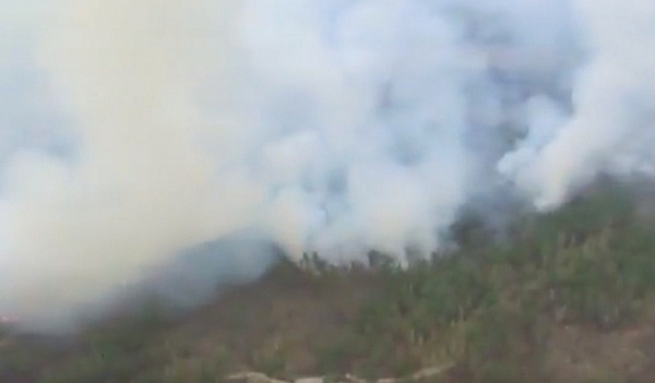 ����� �������: ��������� ����� ��������� � ������� ������� ���� � �����