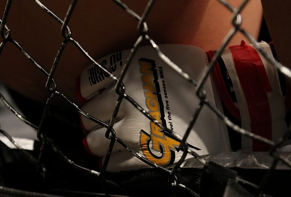 ��������� ������ �� ���������� ���� �� ��� 