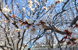 � �������� ������� ������� ������� ��������� ����