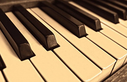 � 26 ������� ���� �������� ������� �������� ����� �������