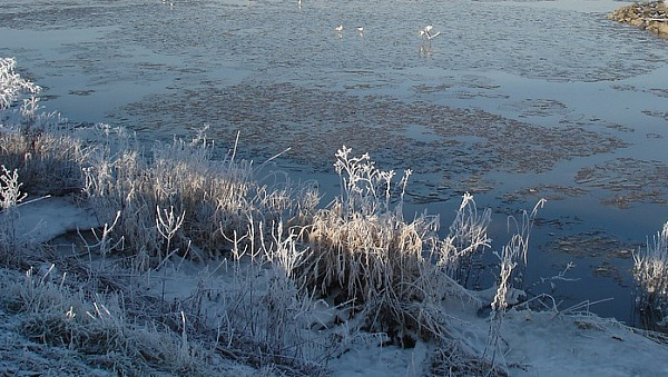 В Иркутской области вспомнили о гибели двух детей на тонком льду 