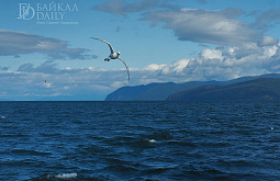 ������ ��� ����� �������� ������������ ������������� � �������