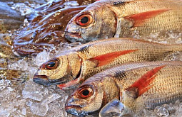 Рыбная продукция на прилавках Бурятии соответствует нормам