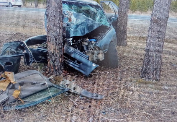 �� ������� ���������� ��������� 14 ��� �� ����� 