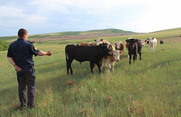 ��������� � ������������� ���� ����� ������� ��������� ���������