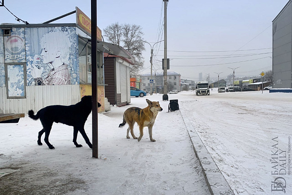 � ����������� ����-��� ����� ��������� �� ��������� �����