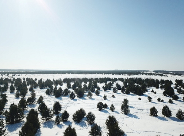 � ������� ������� 160 �������� �������� ������ � ������� 