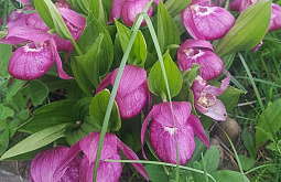 � ������ ������� ������ ������ ��������� �������