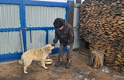 � ����-��� ��� ���-��������� ����� ����� �����