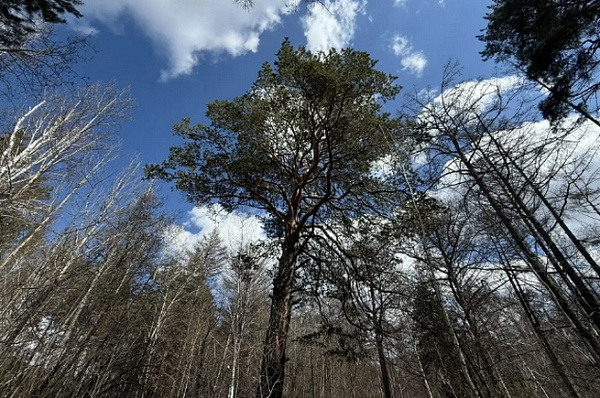 �� ������� �������� � ����-��� ����� 350-������ �����