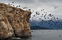 � ������� ��������� ������� ����� �������� ����������� �������