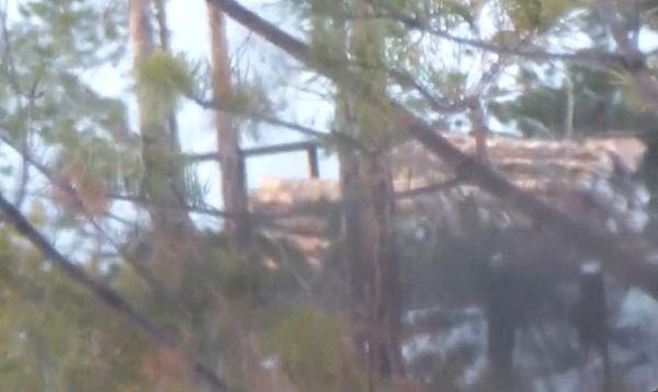 � ������� �������� ����������� �������� ���������