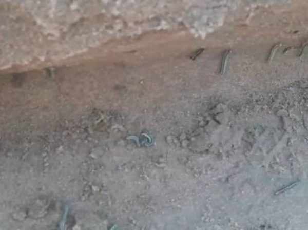 � ������� ������� �������-���������� ��������� ������� 