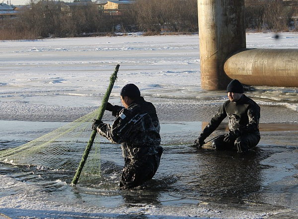 ����-�������� �������� ������ ����