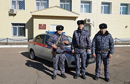 � ����-��� ������������ ������ ���������� � ���  �� ����