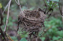 � ������� ������� �� ������ ������� ������ ����� � ������������ 