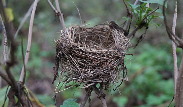 � ������� ������� �� ������ ������� ������ ����� � ������������ 