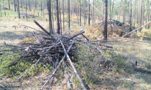 � ����-��� ������� ��������� ������ ��� ������ �������� ������������