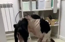 ���������� ����� ������� ����� ����� � ����� 