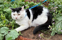 ��� �� ������� ����� ����� ������ �� ������������