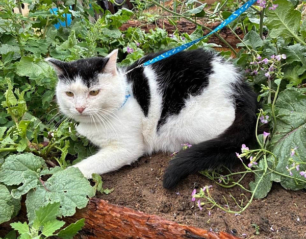 ��� �� ������� ����� ����� ������ �� ������������