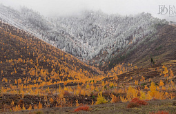 �� ������� � �������� ��� ������� ������ ���������� �����