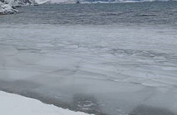 ˸� �� ������� ������ ����� ����������� �������� ��-�� ��������� ������