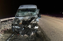 В Бурятии из-за коровы столкнулись грузовик и пассажирский автобус