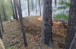 В Заиграевском районе Бурятии тушат лесной пожар