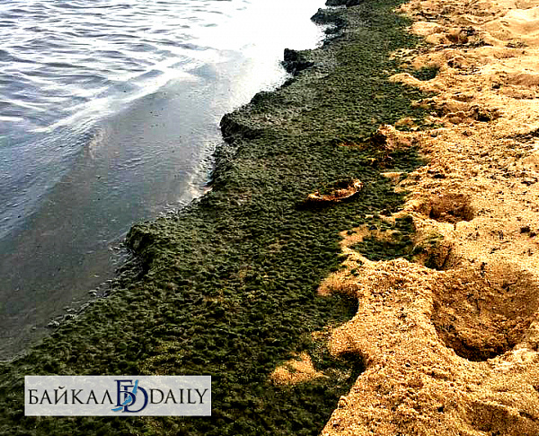 ����� �������: ��������� �� ����������� ��������� ���� �� �����