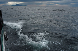 ���������� 860 �� ������ �� ������� ���� ���������� �������� ��������