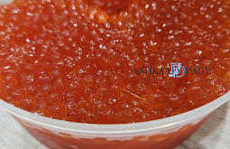 ���������� �������� 51 ������ ������ ��� ������� ������� ���� 