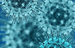 ����� ������� ������������ � ������� ������������ � 170