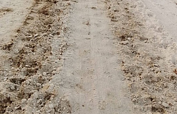 В селе Бурятии коровы стадами носятся по улицам