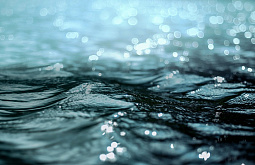 ������� ���� � ����� ����-��� � �����