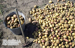 � ������� ����� �������� �� ������������ ��������� � ������