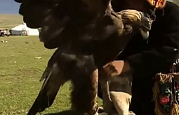 �������� ���� ������ � �������� 