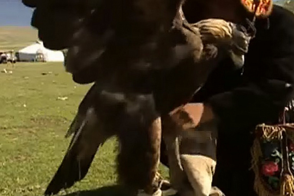 �������� ���� ������ � �������� 