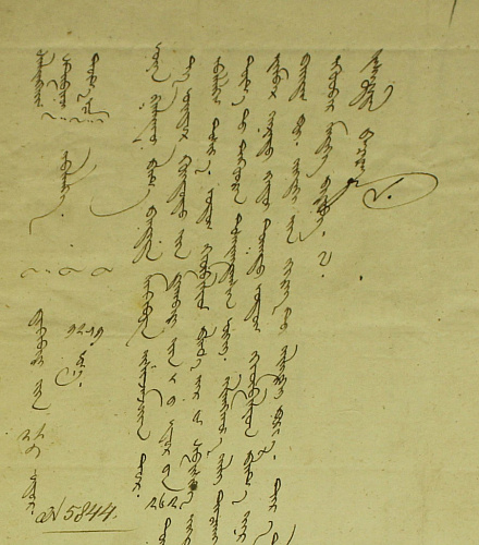 ���������������� ������������ ������������ � �������