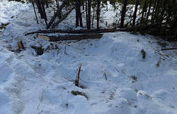 � ����-��� �� ����� �������� ��������� ������� � �������� ��������� 