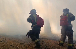 � ���� ��������� � ������� ������� �� ���������� ����� 