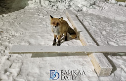 ������� ������� ���������� ����������