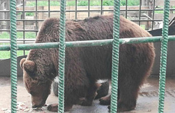 � ��������������� ����� ������� ��������� ����� ������ ��� �������